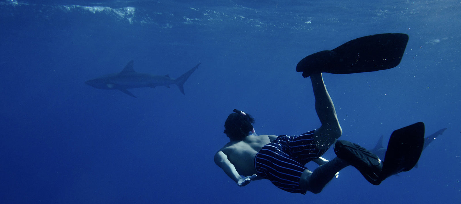 Sleep Quiz: Heimana Reynolds