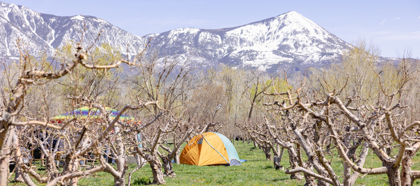 Camping festival on public lands featuring tents, scenic mountains, outdoor community, and live music at a weekend camping event.