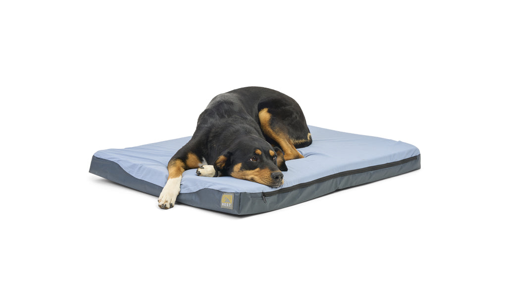 Mattress Outlet