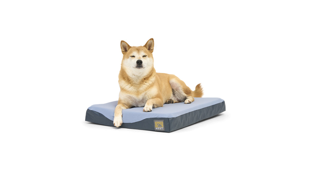 Mattress Outlet